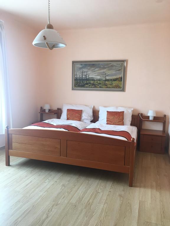 Pension Vidhous 1 Františkovy Lázně Exteriér fotografie